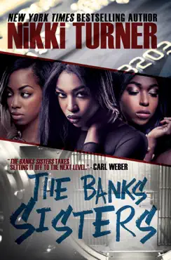 the banks sisters book cover image