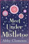 Meet Me Under the Mistletoe synopsis, comments