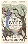 The Wood sinopsis y comentarios