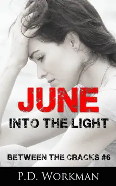 june, into the light book cover image