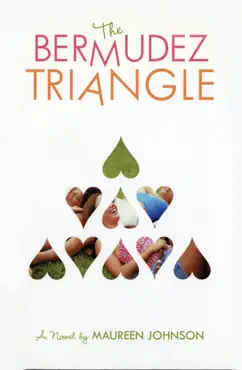 the bermudez triangle book cover image