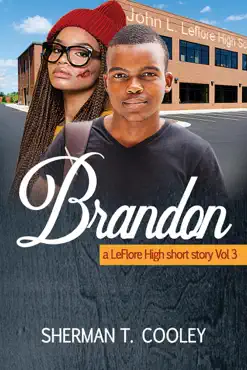 brandon book cover image