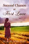 Second Chance at First Love synopsis, comments