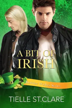 a bit of irish book cover image