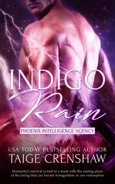 indigo rain imagen de la portada del libro