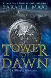 Tower of Dawn e-book