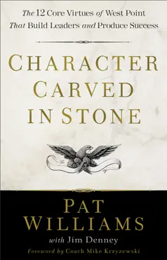 character carved in stone book cover image