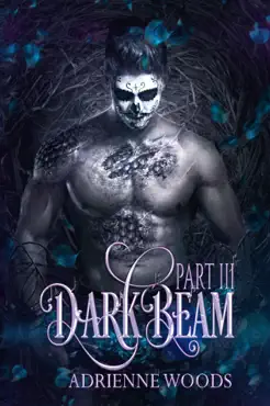 darkbeam part iii book cover image