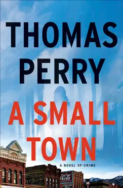a small town book cover image