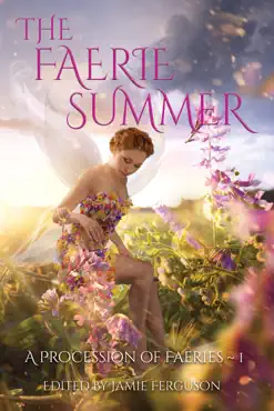 the faerie summer book cover image