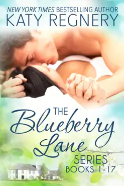 the blueberry lane series (books 1-17) book cover image