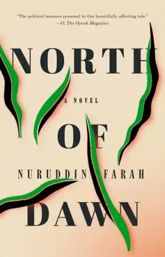 north of dawn imagen de la portada del libro