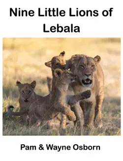nine little lions of lebala imagen de la portada del libro