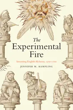 the experimental fire book cover image