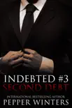 Second Debt synopsis, comments