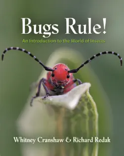 bugs rule! book cover image