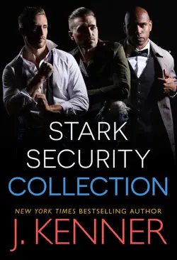 stark security book cover image