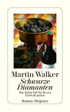 schwarze diamanten book cover image