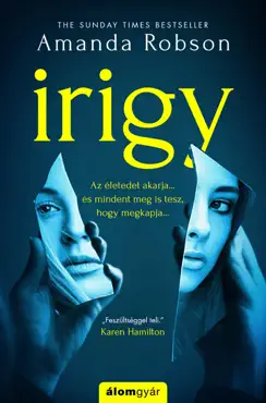 irigy book cover image