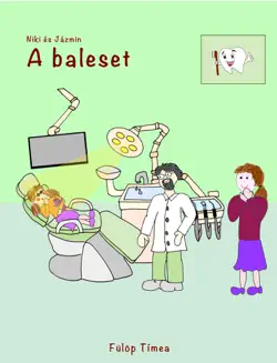 baleset book cover image
