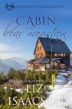 The Cabin on Bear Mountain book summary, reviews and download