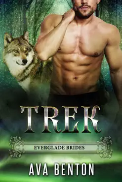 trek book cover image