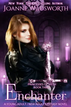 enchanter book cover image