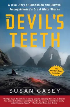 the devil's teeth book cover image