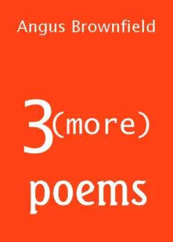 3 more poems book cover image