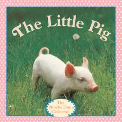 the little pig book cover image