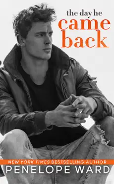 the day he came back book cover image
