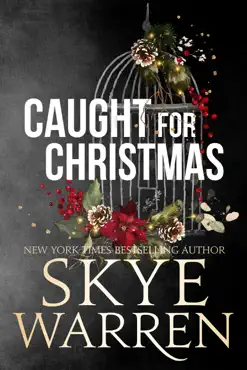 caught for christmas book cover image