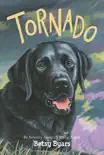 Tornado book summary, reviews and download