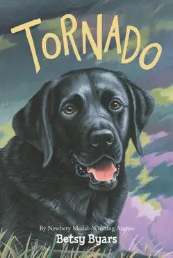 tornado book cover image