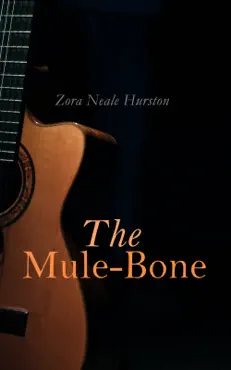 the mule-bone book cover image