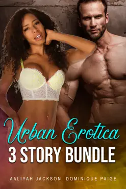 urban erotica 3 story bundle book cover image