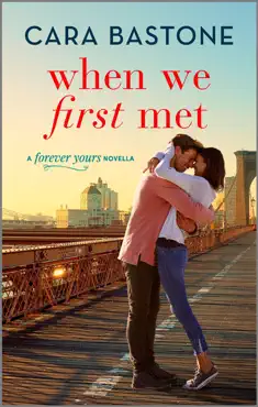 when we first met book cover image
