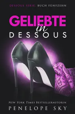 geliebte in dessous book cover image