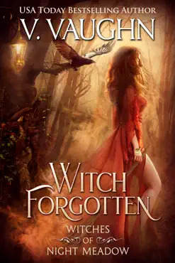 witch forgotten book cover image