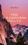 The Wilderness Essays synopsis, comments