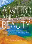 A Weird and Wild Beauty synopsis, comments