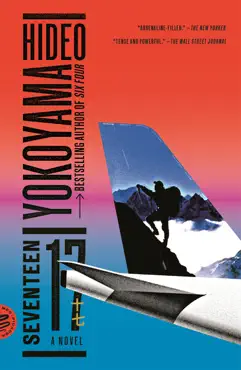 seventeen book cover image