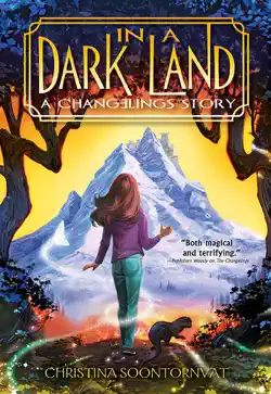 in a dark land book cover image