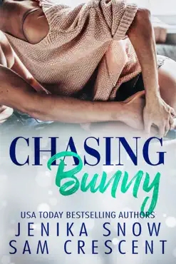 chasing bunny book cover image