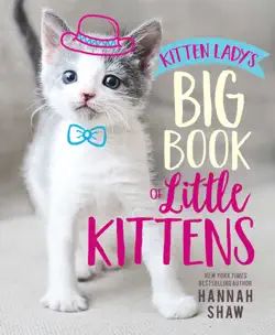 kitten lady's big book of little kittens imagen de la portada del libro