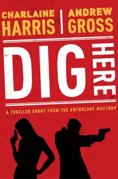 dig here book cover image