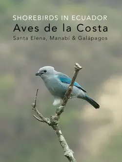 aves de la costa de ecuador imagen de la portada del libro
