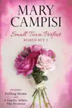 Small Town Perfect Boxed Set 1 sinopsis y comentarios