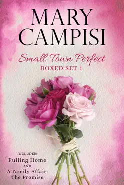 small town perfect boxed set 1 book cover image