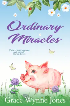 ordinary miracles book cover image
